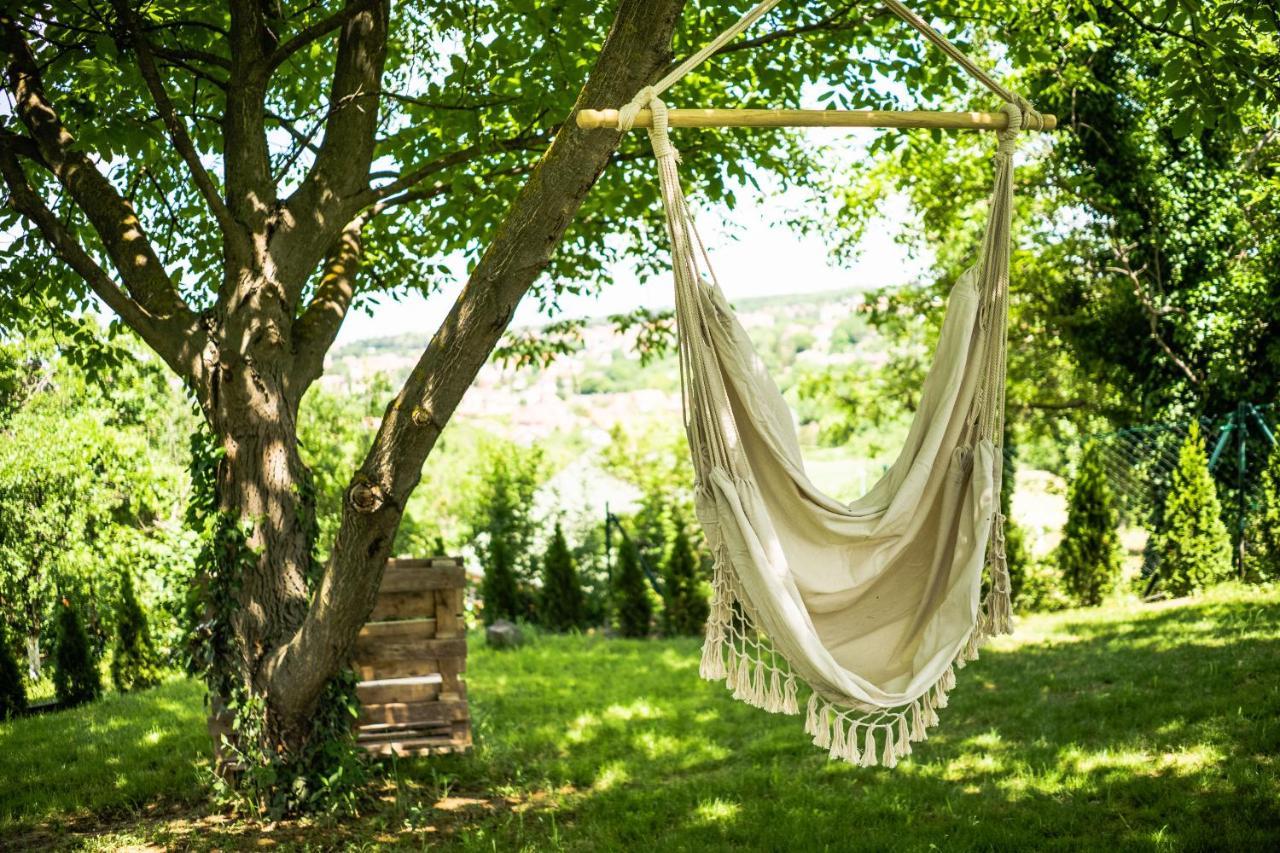 Willa Todor Boutique House Sremska Kamenica Zewnętrze zdjęcie