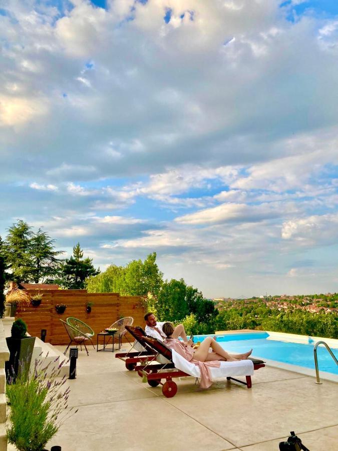 Willa Todor Boutique House Sremska Kamenica Zewnętrze zdjęcie