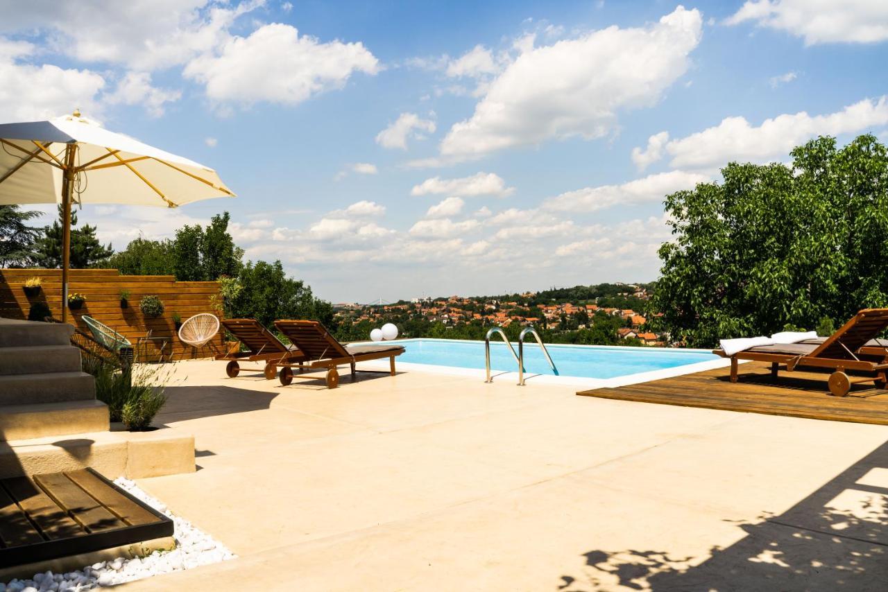 Willa Todor Boutique House Sremska Kamenica Zewnętrze zdjęcie